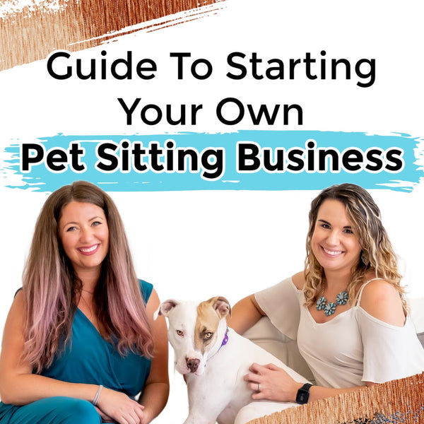 Guide to Starting Your Own Pet Sitting Business